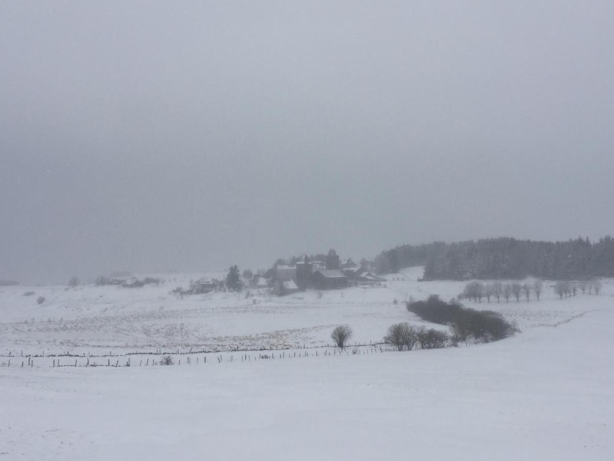 Comptoir D Aubrac Hotel Luaran gambar